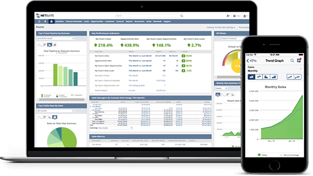 Netsuite Interface Netsuite Interface
